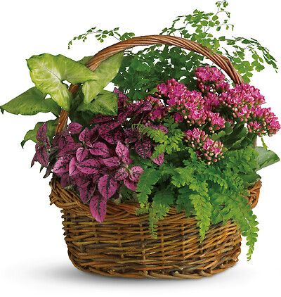 Secret Garden Basket